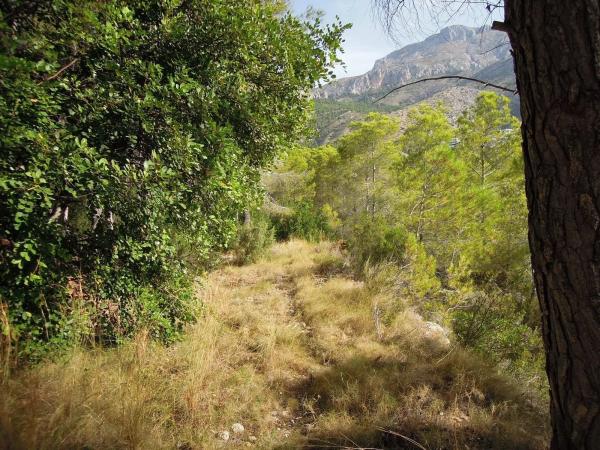 Terreno en Partida el Riquet