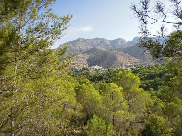 Terreno en Partida el Riquet