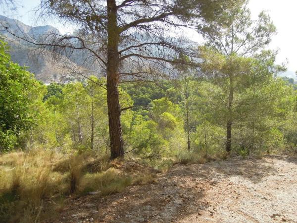 Terreno en Partida el Riquet