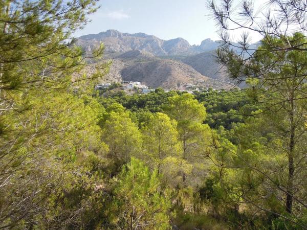 Terreno en Partida el Riquet