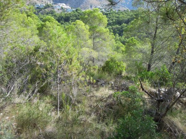 Terreno en Partida el Riquet
