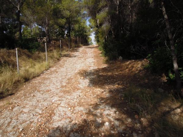 Terreno en Partida el Riquet