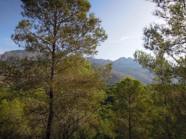 Terreno en Partida el Riquet