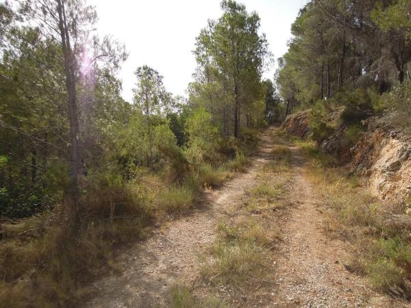 Terreno en Partida el Riquet