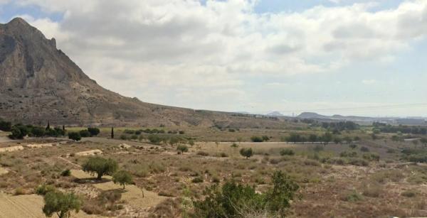 Terreno en Polígono 28 s/n