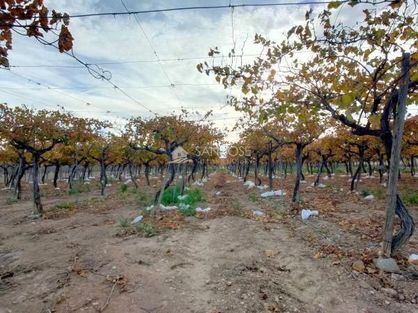 Terreno en Pedanías Oeste