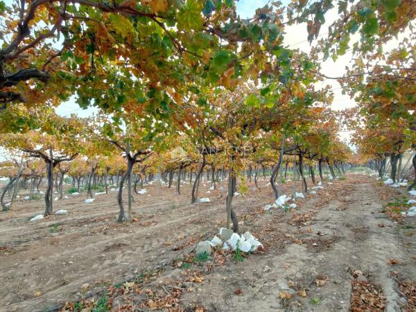 Terreno en Pedanías Oeste