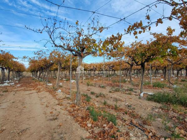 Terreno en Pedanías Oeste
