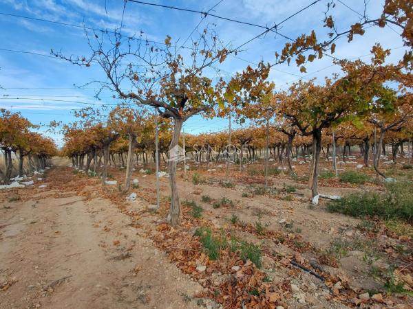 Terreno en Pedanías Oeste