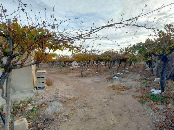 Terreno en Pedanías Oeste