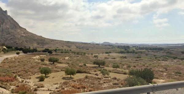 Terreno en Polígono 28 s/n