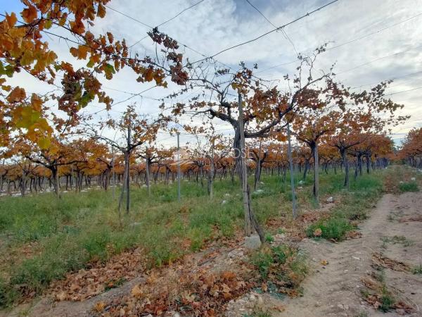 Terreno en Pedanías Oeste