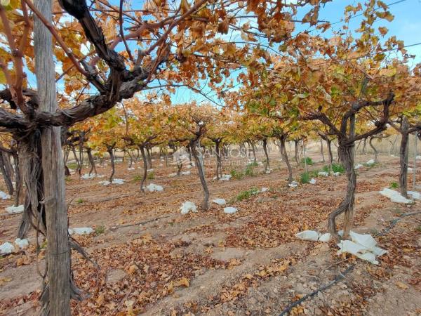 Terreno en Pedanías Oeste