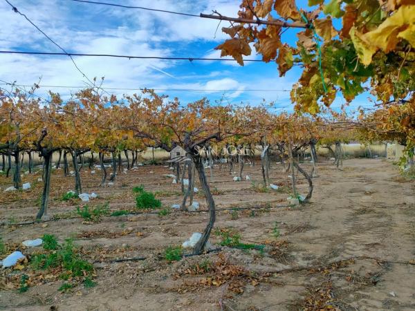 Terreno en Pedanías Oeste