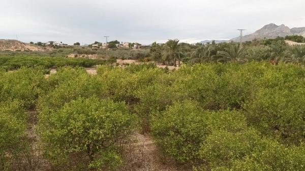 Terreno en Cv-872 s/n