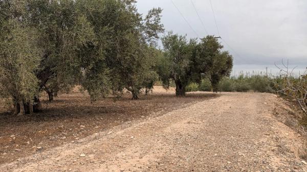 Terreno en Cv-872 s/n