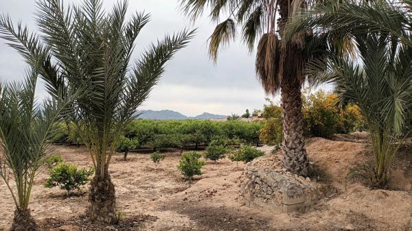 Terreno en Cv-872 s/n