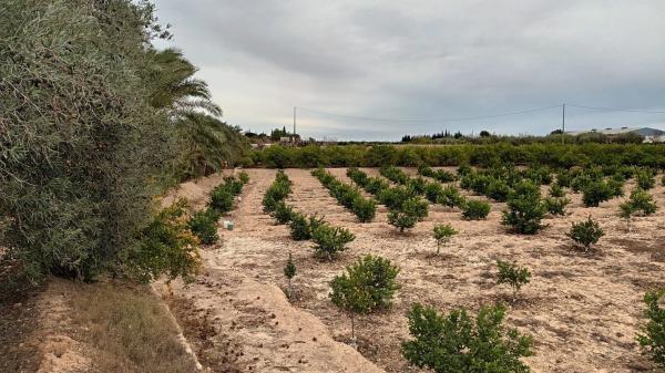 Terreno en Cv-872 s/n