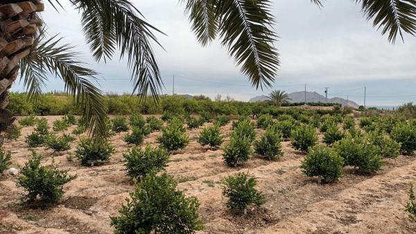 Terreno en Cv-872 s/n