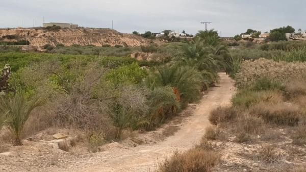 Terreno en Cv-872 s/n