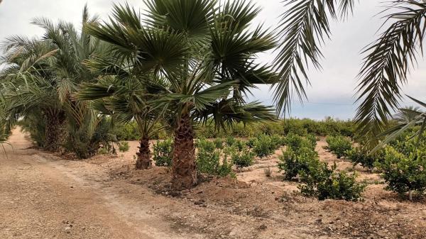 Terreno en Cv-872 s/n