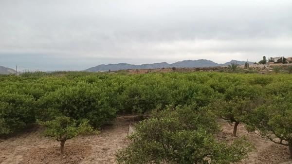 Terreno en Cv-872 s/n