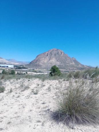 Terreno en Polígono 33 Parcela 48 El Rebolledo, 33 PolgonoParcelaELREBOLLEDO