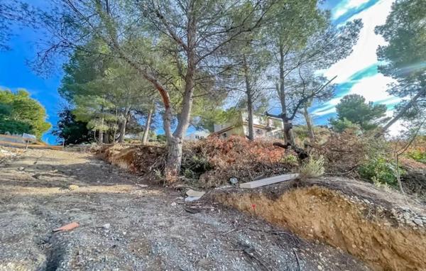 Terreno en calle Bassa