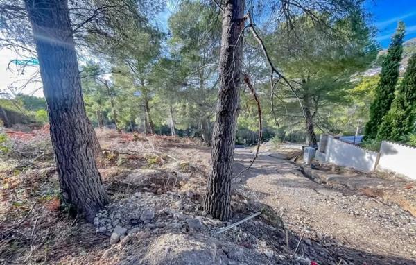 Terreno en calle Bassa