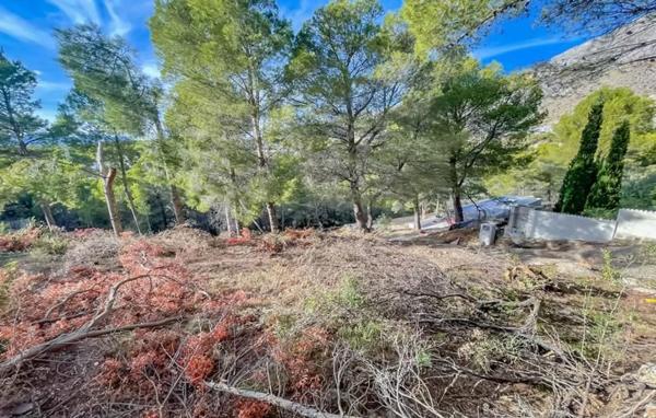 Terreno en calle Bassa