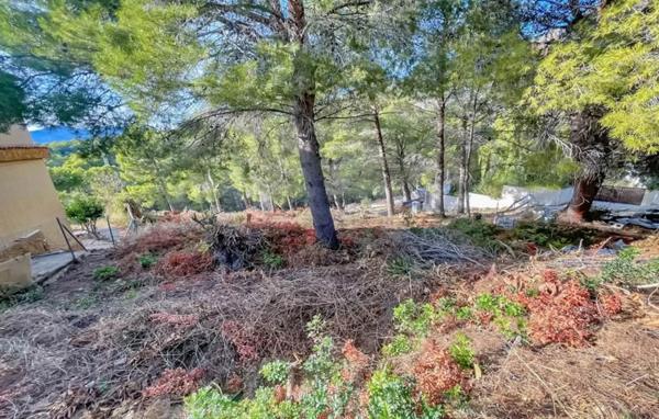 Terreno en calle Bassa