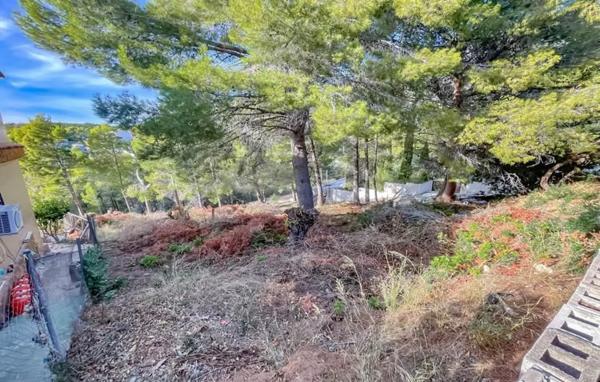 Terreno en calle Bassa