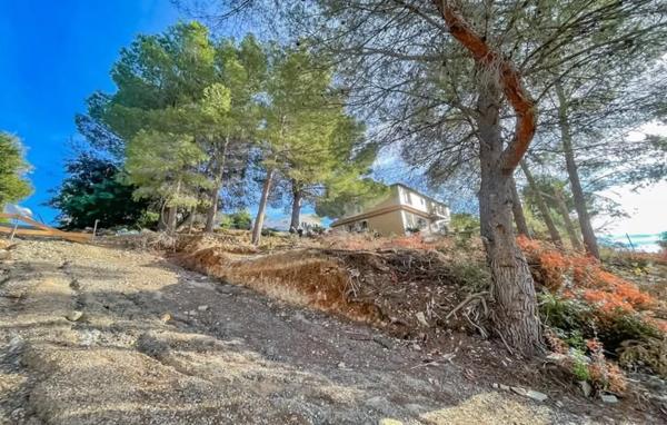 Terreno en calle Bassa