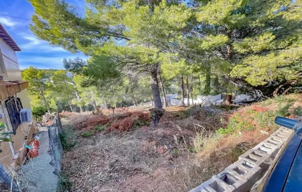 Terreno en calle Bassa