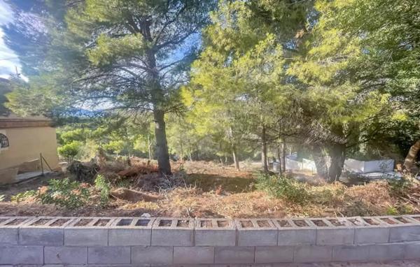 Terreno en calle Bassa