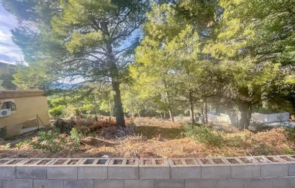 Terreno en calle Bassa