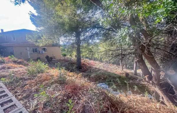 Terreno en calle Bassa