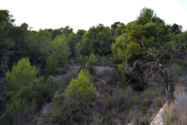 Terreno en Partida Terrasala