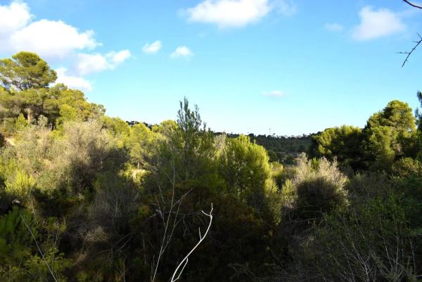 Terreno en Partida Terrasala