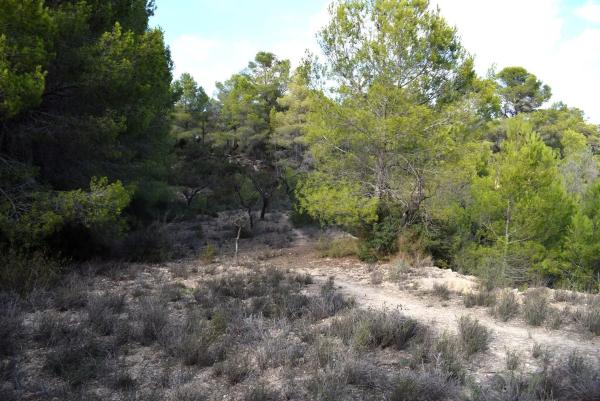 Terreno en Partida Terrasala