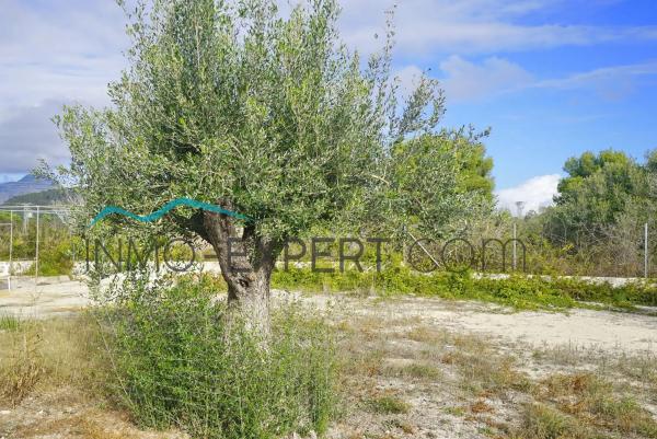 Terreno en lago Hucan