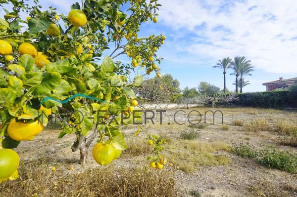 Terreno en lago Hucan