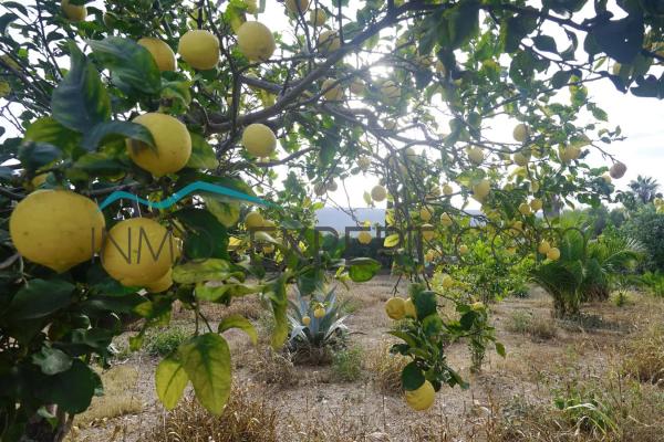 Terreno en lago Hucan