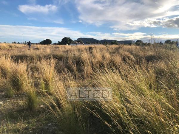 Terreno en avenida los Monteros s/n