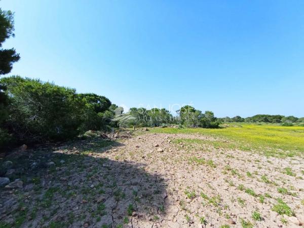 Terreno en El Altet - Balsares