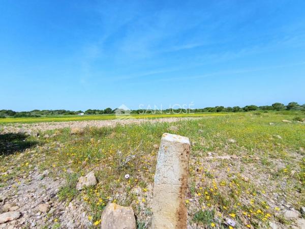 Terreno en El Altet - Balsares