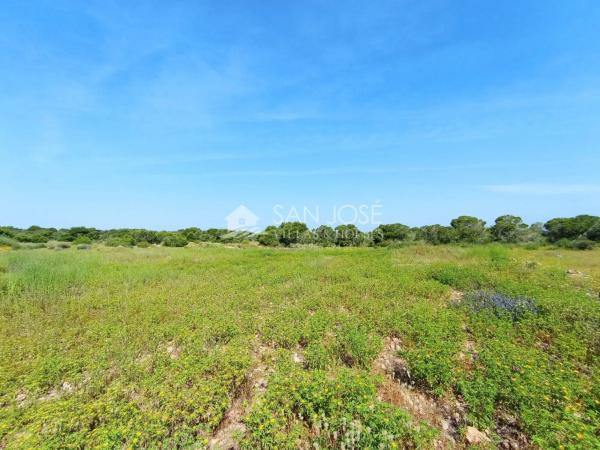 Terreno en El Altet - Balsares