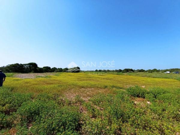 Terreno en El Altet - Balsares