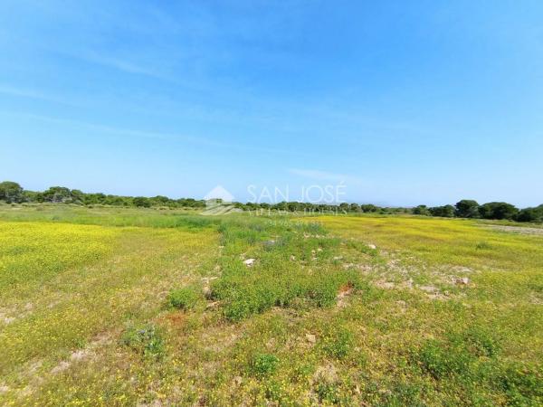 Terreno en El Altet - Balsares