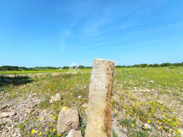 Terreno en El Altet - Balsares